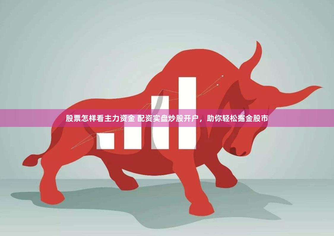 股票怎样看主力资金 配资实盘炒股开户，助你轻松掘金股市
