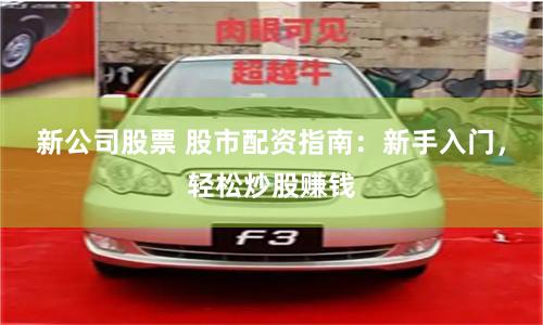 新公司股票 股市配资指南：新手入门，轻松炒股赚钱