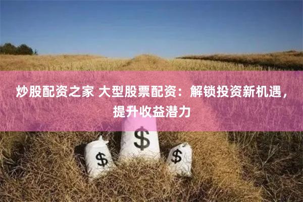 炒股配资之家 大型股票配资：解锁投资新机遇，提升收益潜力