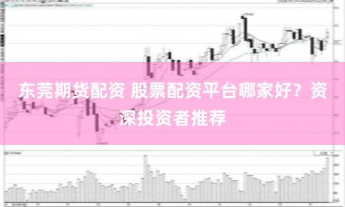 东莞期货配资 股票配资平台哪家好？资深投资者推荐