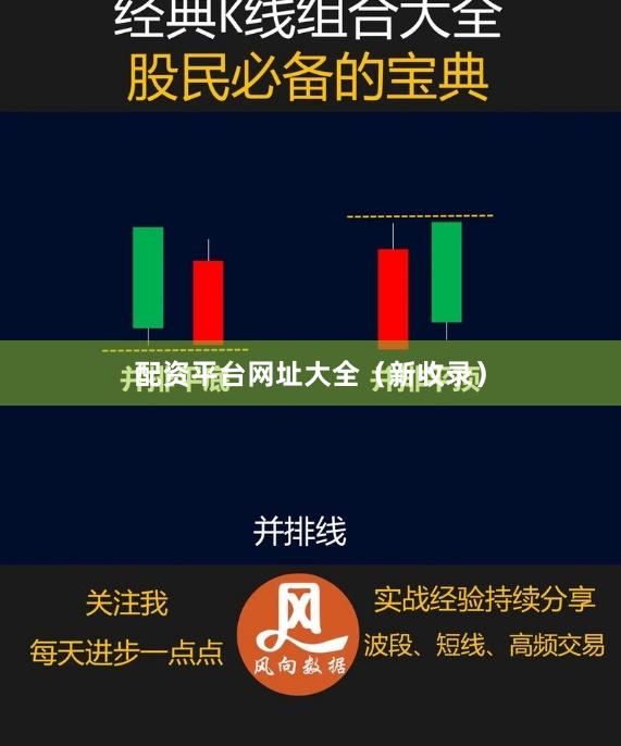 配资平台网址大全（新收录）